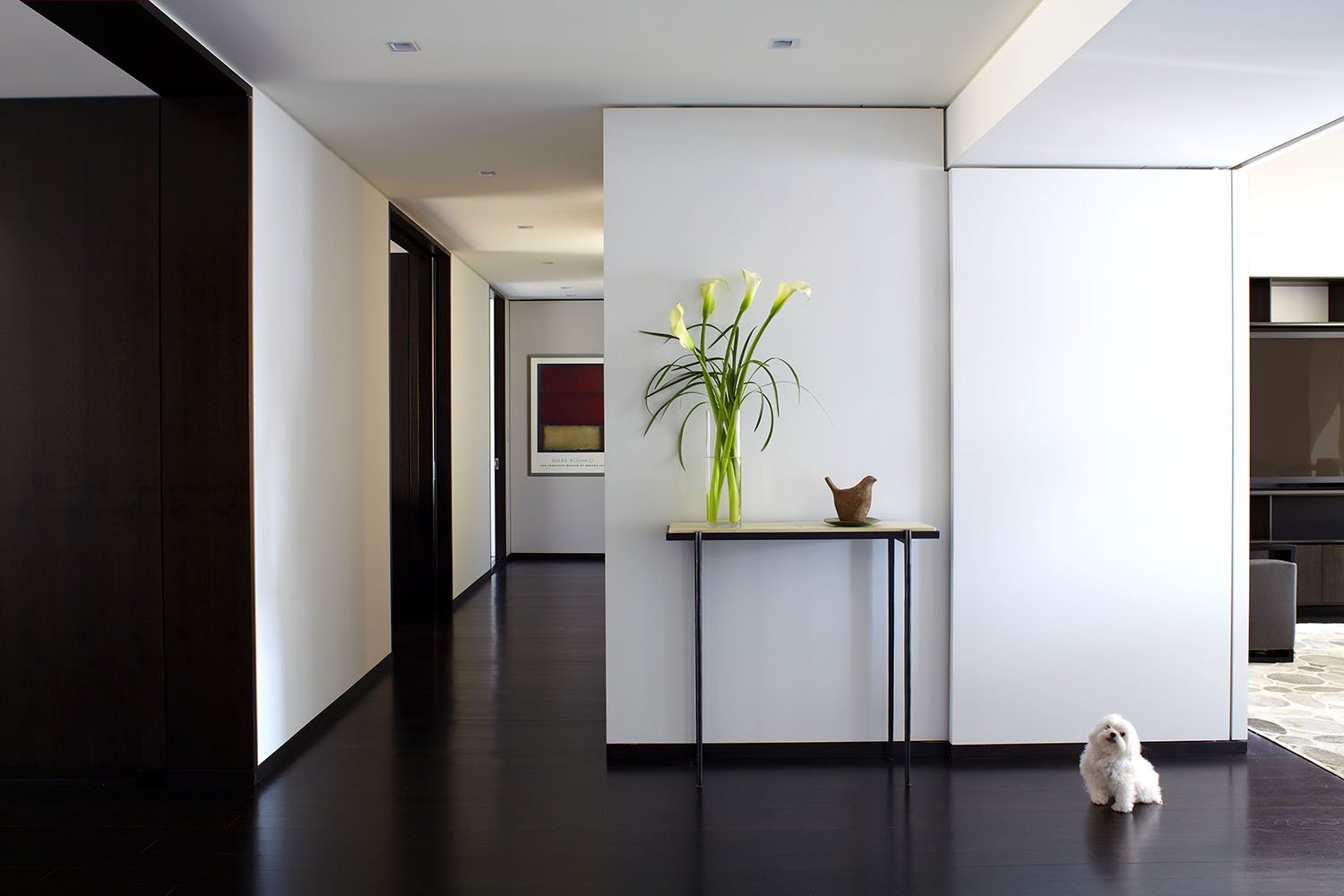 Contemporary entry with floor to ceiling invisible doors that are closed