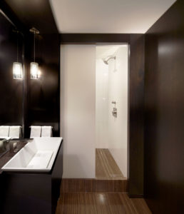 Contemporary guest bathroom with dark wood and rich flooring