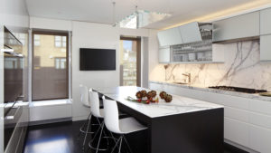 Contemporary sleek kitchen design